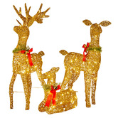 Enchanted &amp; Evergreen 3 Piece Luna Reindeer LED Christmas Decoration Set