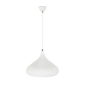 Retro Glow Zooi Iron Pendant Light