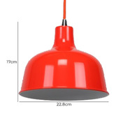 Retro Glow Jones 1 Light Metal Pendant