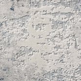 Lotus Rugs Sanford Bender Power-Loomed Rug