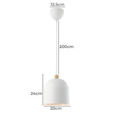 Nordlux Gaston Pendant Light