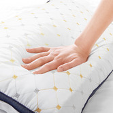 Chiswick Living Luxury Air Mesh Microfibre Pillows