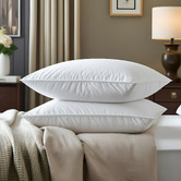 Chiswick Living Twin Pack Duck Feather &amp; Down Pillows
