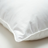 Chiswick Living Twin Pack Duck Feather &amp; Down Pillows