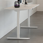 Linea Furniture Princeton Steel Electric Sit &amp; Stand Desk