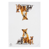 Ashdene 2 Piece Staffy Terrier Puppy Love Kitchen Towel Set
