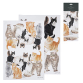 Ashdene 2 Piece Purrrfect Moments Kitchen Towel Set
