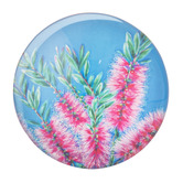 Ashdene 6 Piece Native Flora Magnet Set