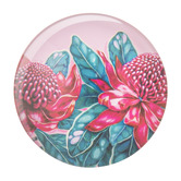 Ashdene 6 Piece Native Flora Magnet Set