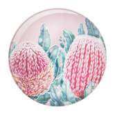 Ashdene 6 Piece Native Flora Magnet Set