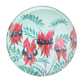 Ashdene 6 Piece Native Flora Magnet Set
