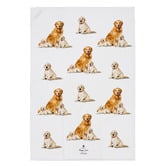Ashdene 2 Piece Golden Retriever Puppy Love Kitchen Towel Set