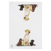 Ashdene 2 Piece Labrador Puppy Love Kitchen Towel Set