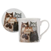 Ashdene Kim's Cats Fluffy Five 330ml Mugs &amp; Coasters