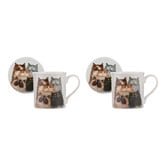 Ashdene Kim's Cats Fluffy Five 330ml Mugs &amp; Coasters