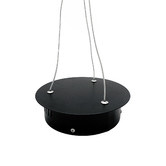 Observatory Lighting Black LED Ring Pendant Light