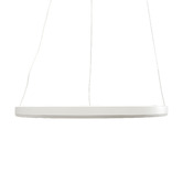 Observatory Lighting Black LED Ring Pendant Light
