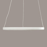Observatory Lighting Black LED Ring Pendant Light