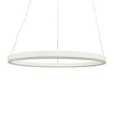 Observatory Lighting Black LED Ring Pendant Light