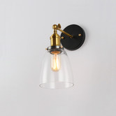 Observatory Lighting Clear Glass Cloche Filament Wall Light