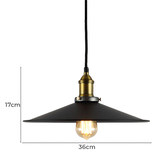 Observatory Lighting Aged Steel Filament Pendant Light