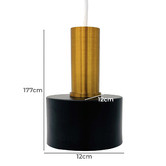 Observatory Lighting Brass &amp; Black Adrielle Pendant Light
