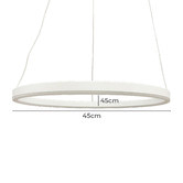 Observatory Lighting Black LED Ring Pendant Light