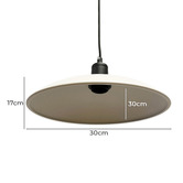 Observatory Lighting Industrial Metal Pendant Light
