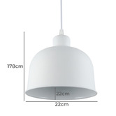 Observatory Lighting Braxton Aluminium Pendant Light
