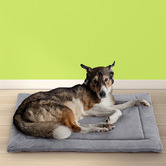Braxton Home Kalliope Fleece Pet Cushion