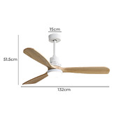 Braxton Home Rivera AC Ceiling Fan with LED