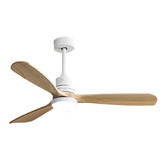 Braxton Home Rivera AC Ceiling Fan with LED