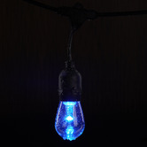 Braxton Home Yin Smart LED Festoon Lights with Remote Control