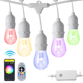 Braxton Home Yin Smart LED Festoon Lights with Remote Control