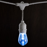 Braxton Home Yin Smart LED Festoon Lights with Remote Control