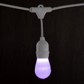 Braxton Home Yang Smart LED Festoon Lights with Remote Control