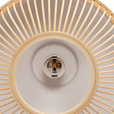 Braxton Home Iqra Bamboo Pendant Light