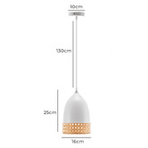Braxton Home Annika Bamboo Pendant Light