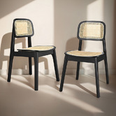 Braxton Home Triverton Rattan Dining Chairs