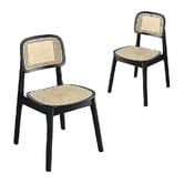 Braxton Home Triverton Rattan Dining Chairs