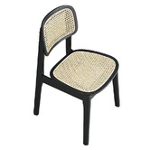 Braxton Home Triverton Rattan Dining Chairs
