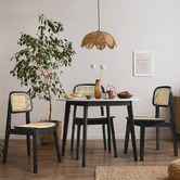 Braxton Home Triverton Rattan Dining Chairs