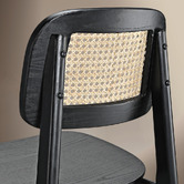 Braxton Home Triverton Rattan Dining Chairs