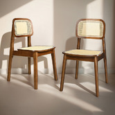 Braxton Home Triverton Rattan Dining Chairs