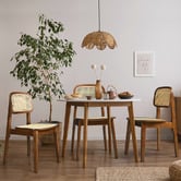 Braxton Home Triverton Rattan Dining Chairs