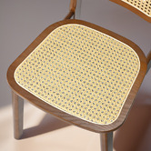 Braxton Home Triverton Rattan Dining Chairs