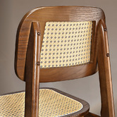 Braxton Home Triverton Rattan Dining Chairs