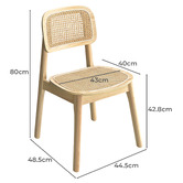 Braxton Home Triverton Rattan Dining Chairs