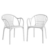 Braxton Home Ione Outdoor Dining Chairs