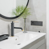 Braxton Home Perach 145mm Basin Mixer